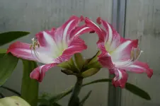 _DSC1772.webp