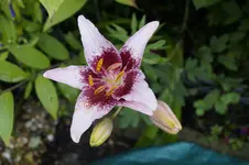 _DSC1778.webp