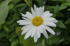 _DSC1804.webp