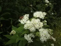 BILD7423.webp