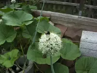 BILD7408.webp