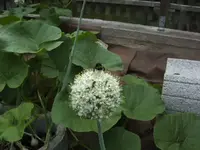 BILD7409.webp