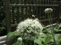 BILD7410.webp