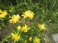 BILD7416.webp