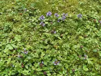 BILD7421.webp