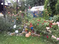IMG_20170702_151259.webp