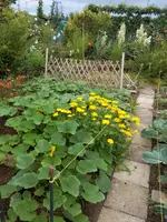 IMG_20170702_150840.webp