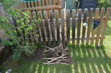 2017-06-04 Schmuddelecke Rasenkompost.webp