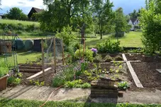 2017-06-06 Gemüseacker mit Kompostecke.webp