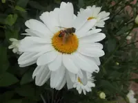 DSCI1759.webp