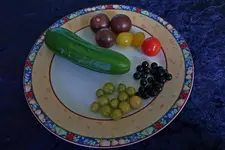 B73.JPG