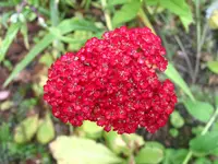 IMG_7886.webp