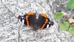 20170703_155147.jpg