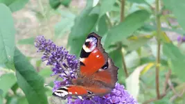 20170703_162425.jpg