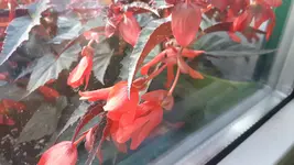 20170703_203728.webp