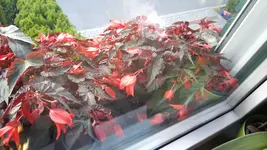 20170703_203721.webp