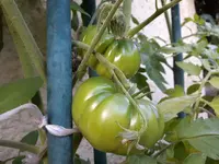 20170703_204749.webp