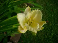 DSCI0362.jpg