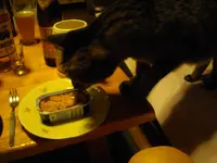 IMGP5034.webp