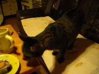 IMGP5033.webp