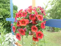 P1000112.webp