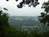 P1060270.webp