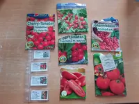 20170624_132020.webp