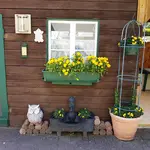 170703  TG Brunnen.jpg