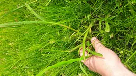 20170704_155753.webp