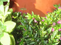 B82.JPG