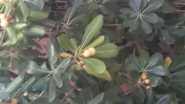 20161130_134200.webp