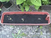 BILD7449.webp