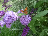P1010237.webp