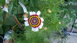20170705_082242_resized.webp