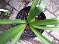 20170628_160504.webp