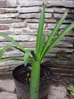 20170628_160458.webp
