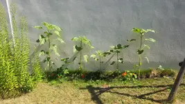 20170705_101849.webp