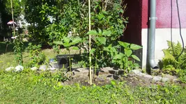 20170705_101837.webp