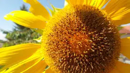 20170705_101527.webp