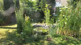 20170705_101901.webp