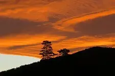 IMG_7980v (1) - Copy  kia ora Abendhimmel.webp