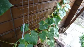 DSC07119.webp