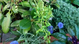 02_20170705_083158_resized.webp