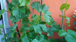 04_20170705_083147_resized.webp
