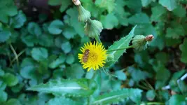 10_20170705_082421_resized.webp