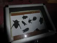 P1060048.webp