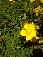 DSC04324.webp