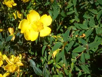 DSC04325.webp