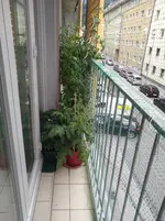 IMG_20170702_165832.webp