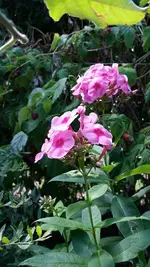 05_20170705_155858_resized_1.webp